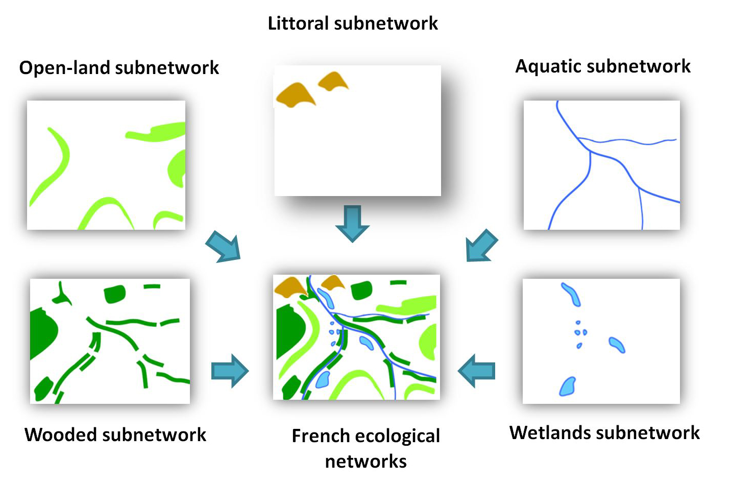 Figure 2 : The five subnetworks  (© PatriNat)