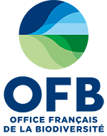 OFB