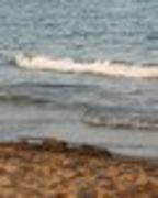 Responsive image3