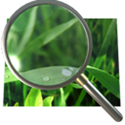 Responsive image3