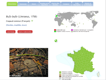 Responsive image2