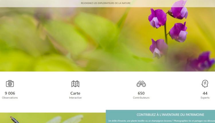 Responsive image1