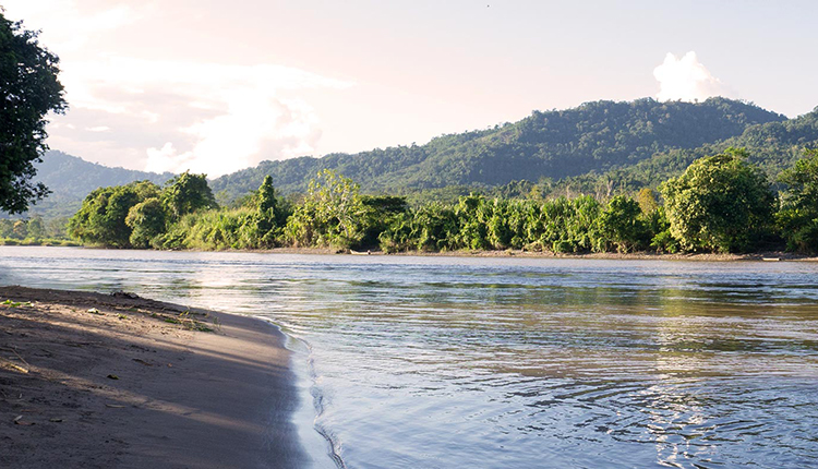 Golfe de Portu © Fondation Lemarchand