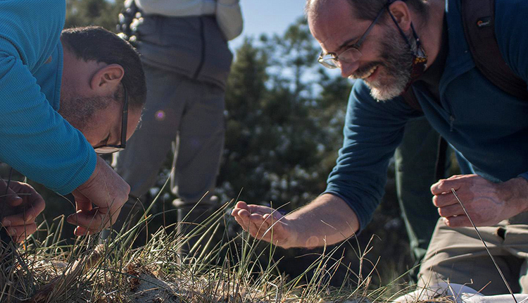 Planète revisitée en Corse © Jean Ichter