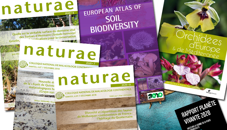Publications septembre 2020