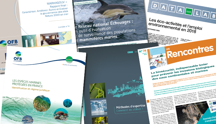 Publications septembre 2020