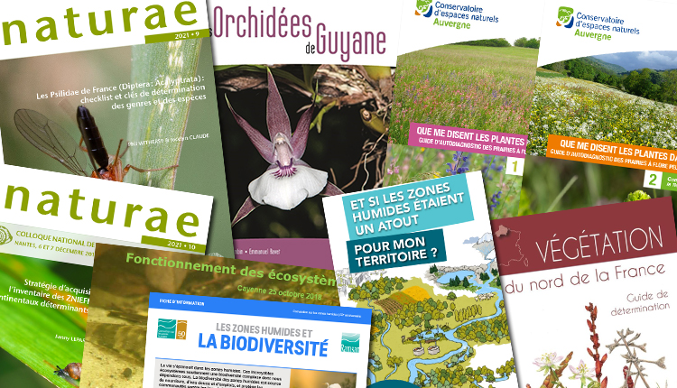 Publications avril 2021