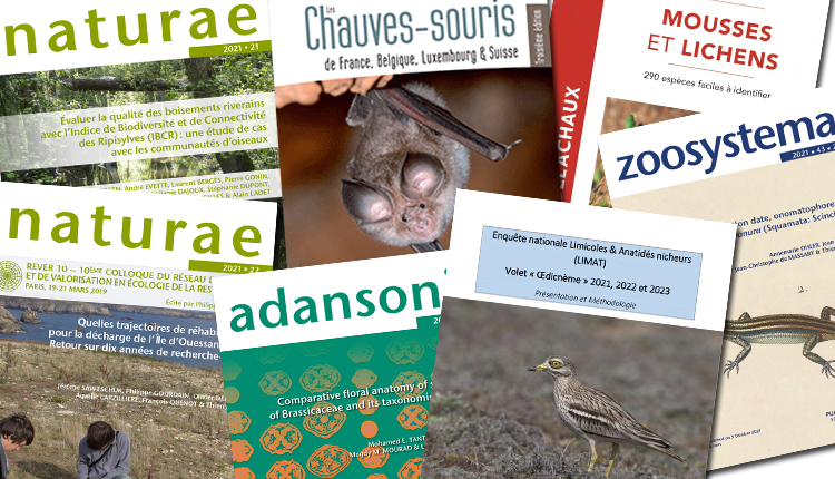 Publications Octobre 2021