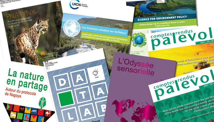 Publications Octobre 2021