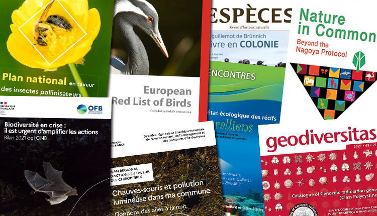Publications Novembre 2021