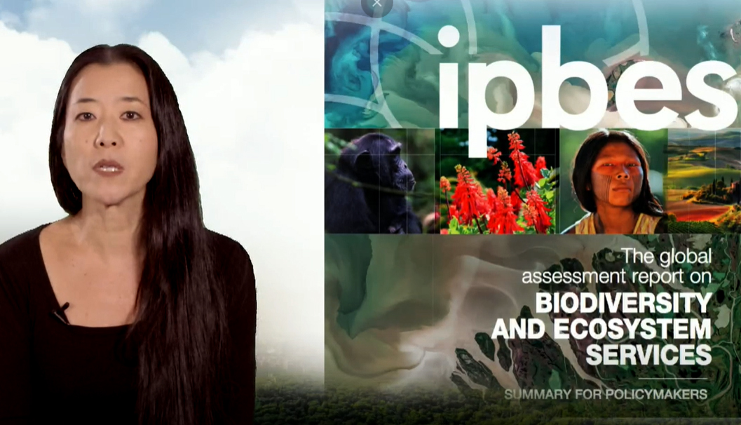 L'évaluation globale de la biodiversité et des services écosystémiques de l'IPBES © DR